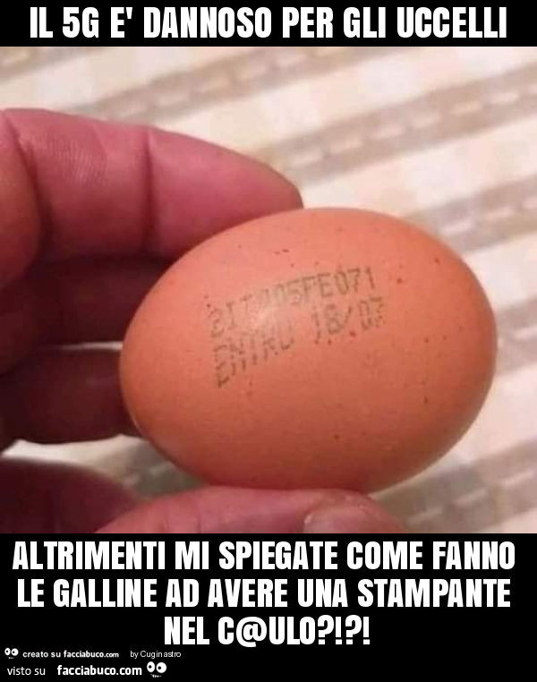 Il 5g è dannoso per gli uccelli altrimenti mi spiegate come fanno le galline ad avere una stampante nel c@ulo?!?