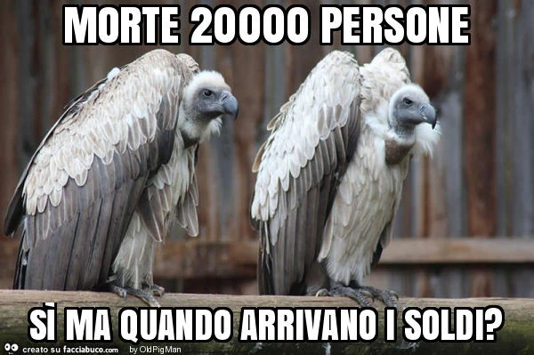Morte 20000 persone sì ma quando arrivano i soldi?