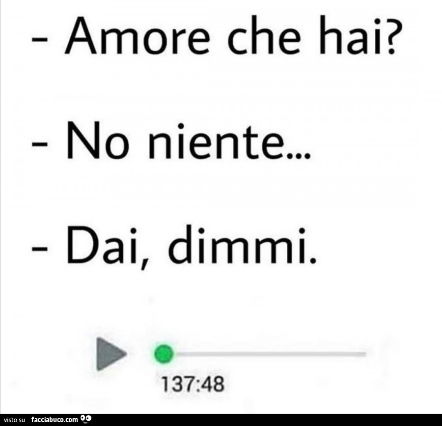 Amore che hai? No niente… dai, dimmi. 137 minuti e 48 secondi di audio