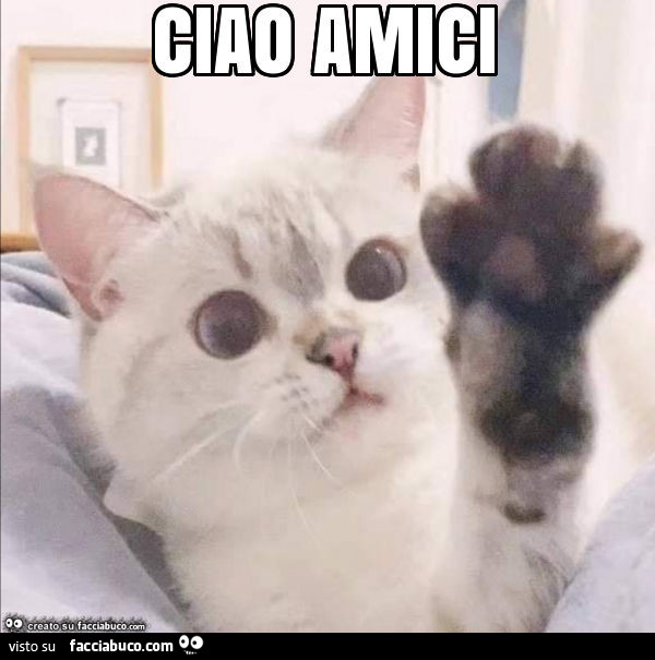 Ciao amici