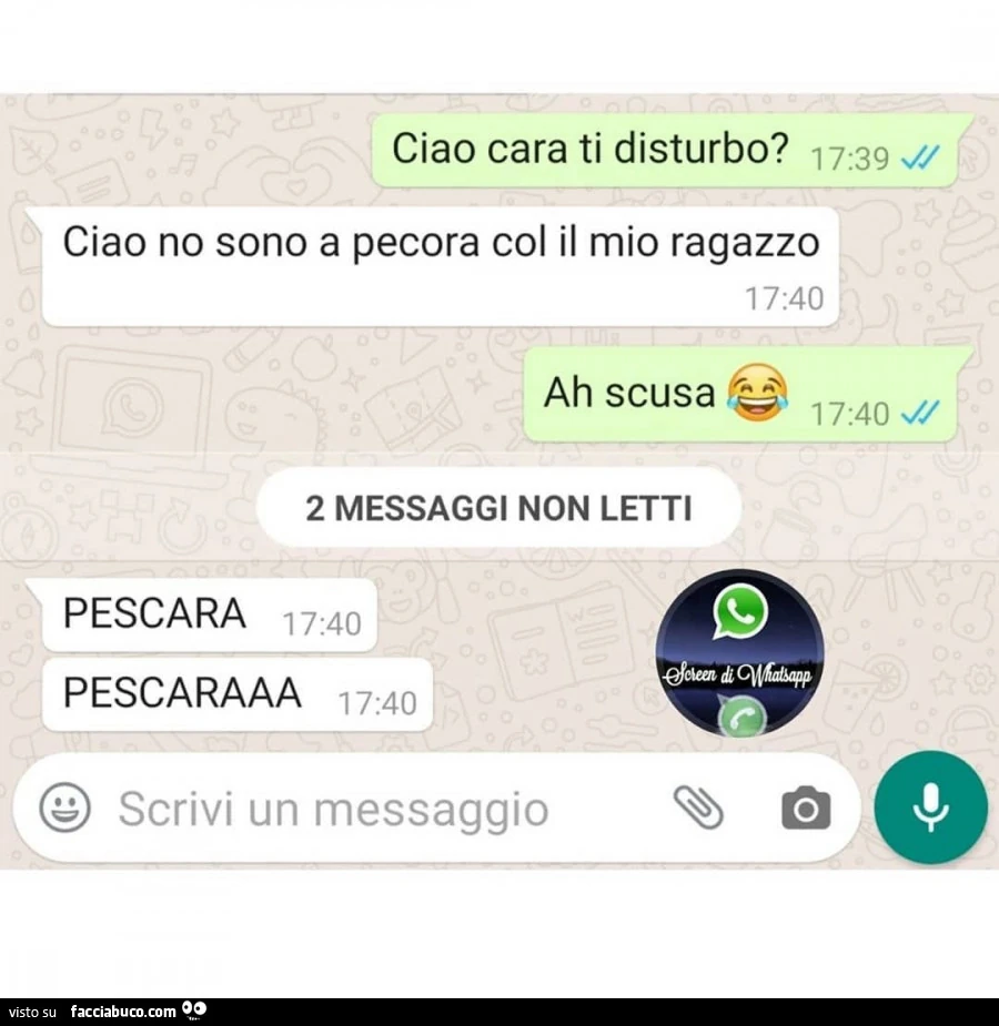 Ciao cara ti disturbo? Ciao no sono a pecora col mio ragazzo. Ah scusa. Pescara pescaraaa