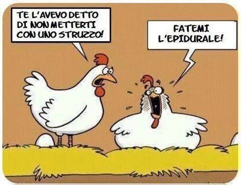 Non ci resta che ridere
