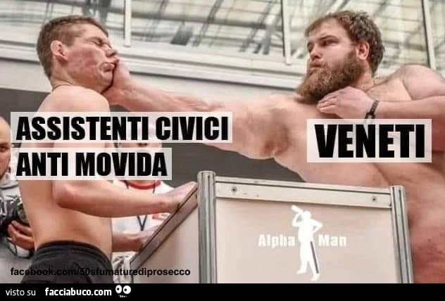 Movida