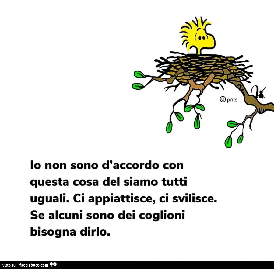 Io non sono d'accordo con questa cosa del siamo tutti uguali. Ci appiattisce, ci svilisce. Se alcuni sono dei coglioni bisogna dirlo