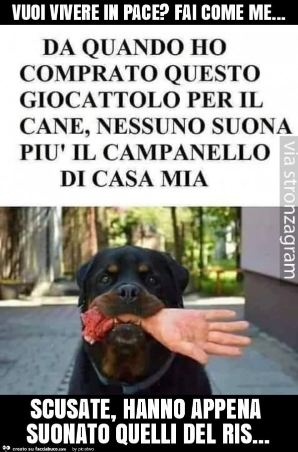 Vuoi vivere in pace? Fai come me&hellip; scusate, hanno appena suonato quelli del ris
