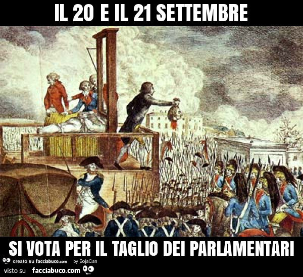 Il 20 e il 21 settembre si vota per il taglio dei parlamentari -  Facciabuco.com