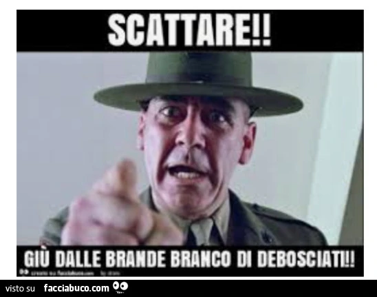 Vaccata