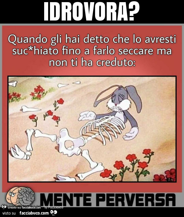 Idrovora?