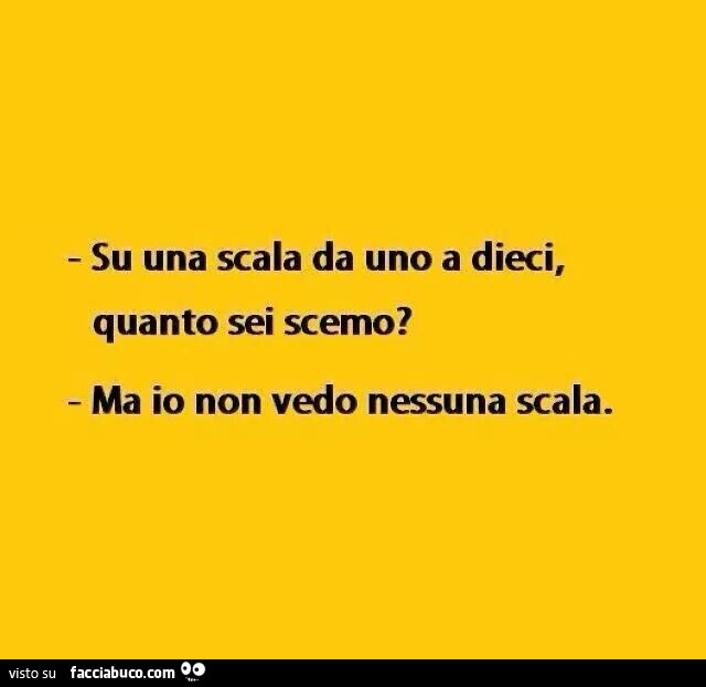Su una scala da uno a dieci, quanto sei scemo? Ma io non vedo nessuna scala
