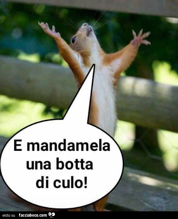 Culo e fortuna