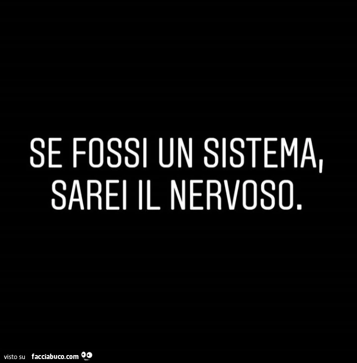Se fossi un sistema, sarei il nervoso