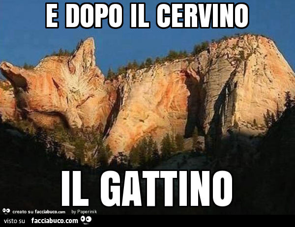 Monte Gatto