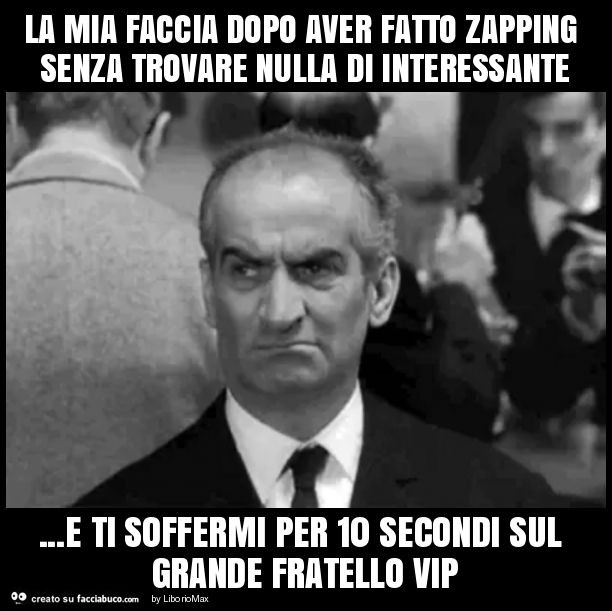 La mia faccia dopo aver fatto zapping senza trovare nulla di interessante… e ti soffermi per 10 secondi sul grande fratello vip