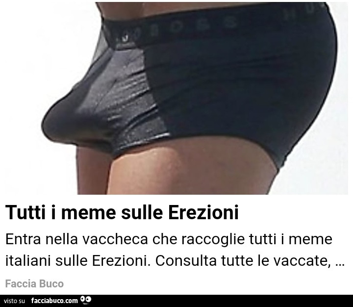Vaccate erotiche