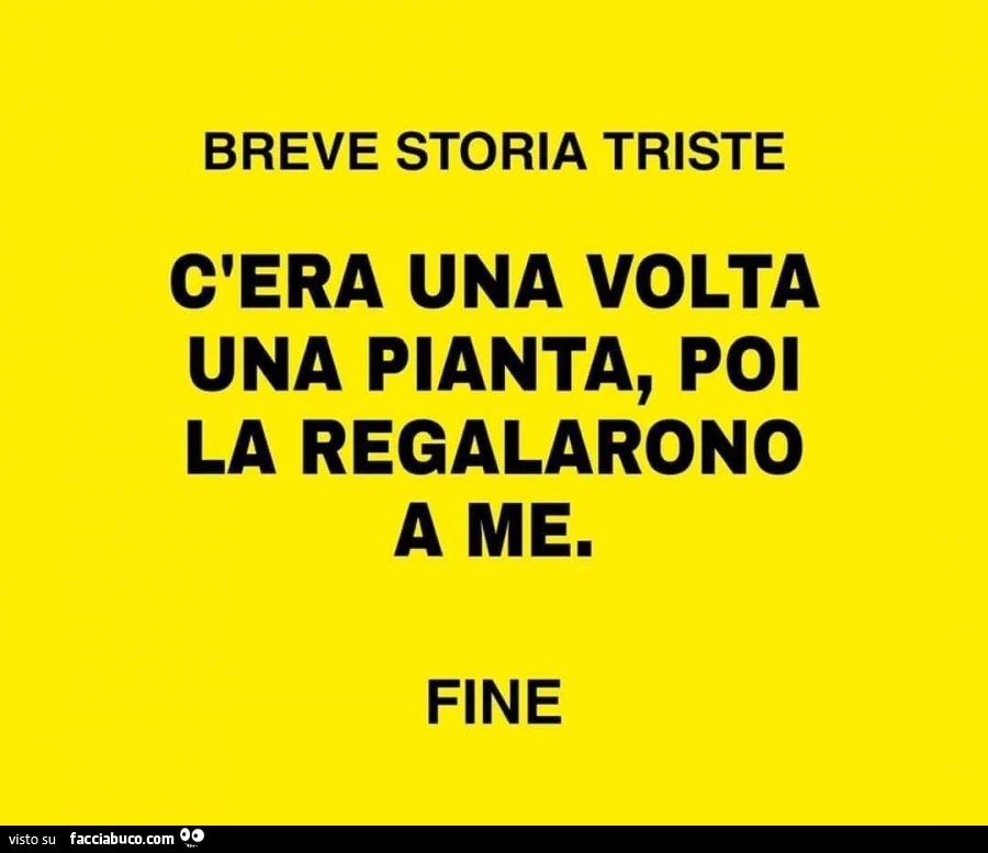 Breve storia triste c'era una volta una pianta, poi la regalarono a me. Fine