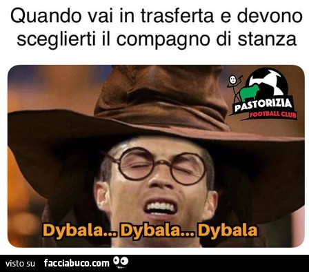 Vaccata