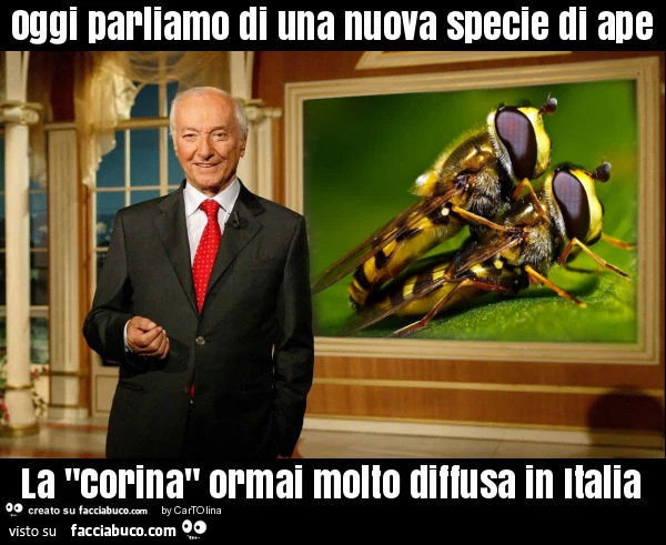 Oggi parliamo di una nuova specie di ape la "corina" ormai molto diffusa in italia
