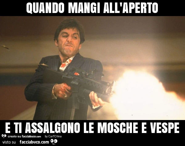 Quando mangi all'aperto e ti assalgono le mosche e vespe