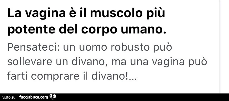 La vagina è il muscolo più potente del corpo umano. Pensateci: un uomo robusto può sollevare un divano, ma una vagina può farti comprare il divano