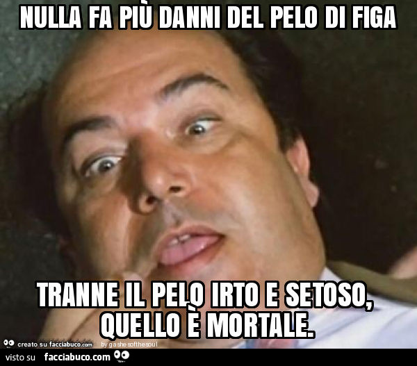 Nulla fa più danni del pelo di figa tranne il pelo irto e setoso, quello è mortale