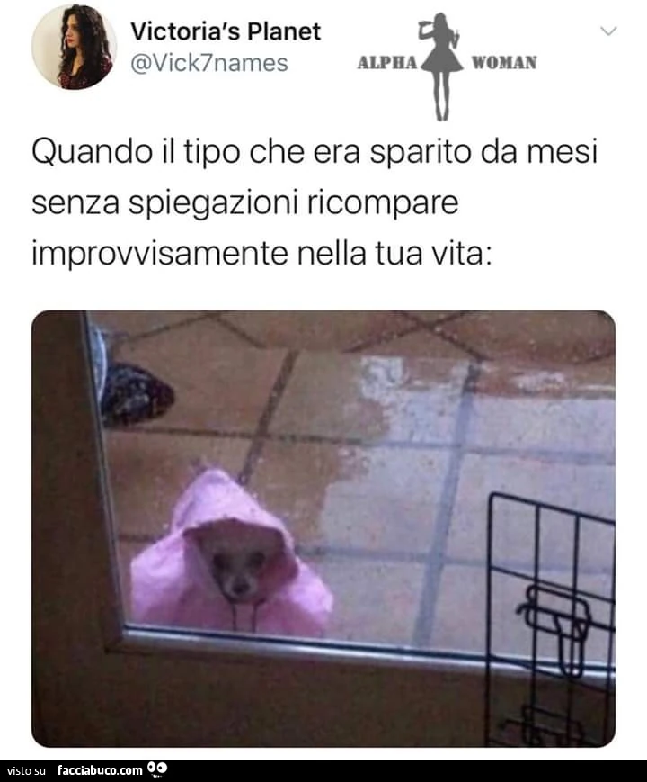 Vaccata