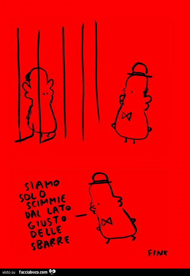 Siamo solo scimmie dal lato giusto delle sbarre