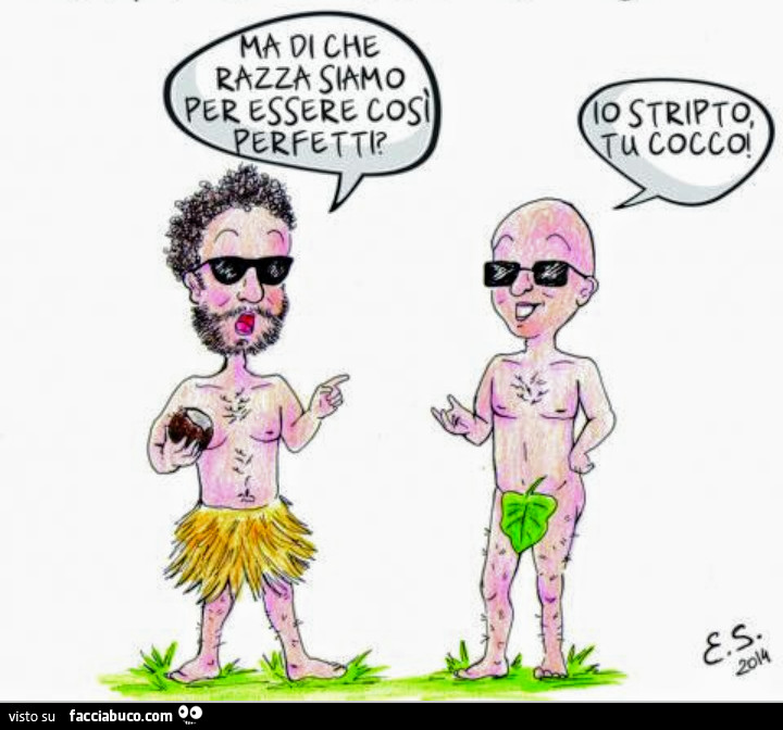Di che razza siamo? Stripto e tu cocco