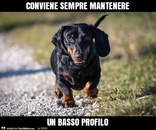 Conviene sempre mantenere un basso profilo