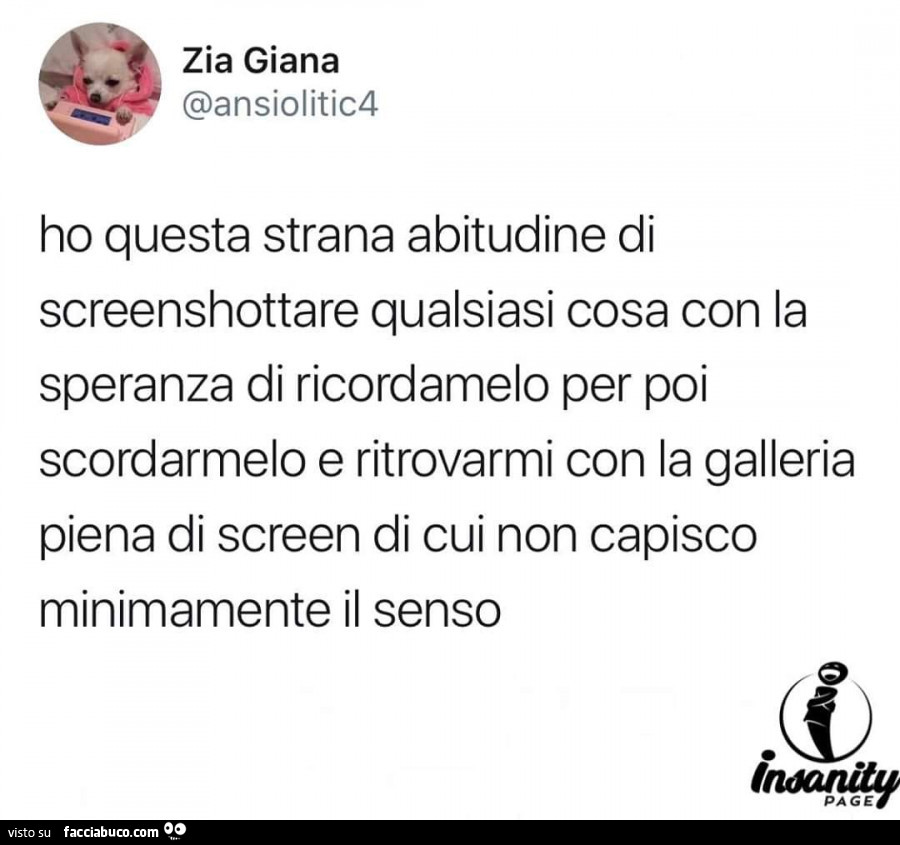 Ho questa strana abitudine di screenshottare qualsiasi cosa con la speranza di ricordamelo per poi scordarmelo e ritrovarmi con la galleria piena di screen di cui non capisco minimamente il senso