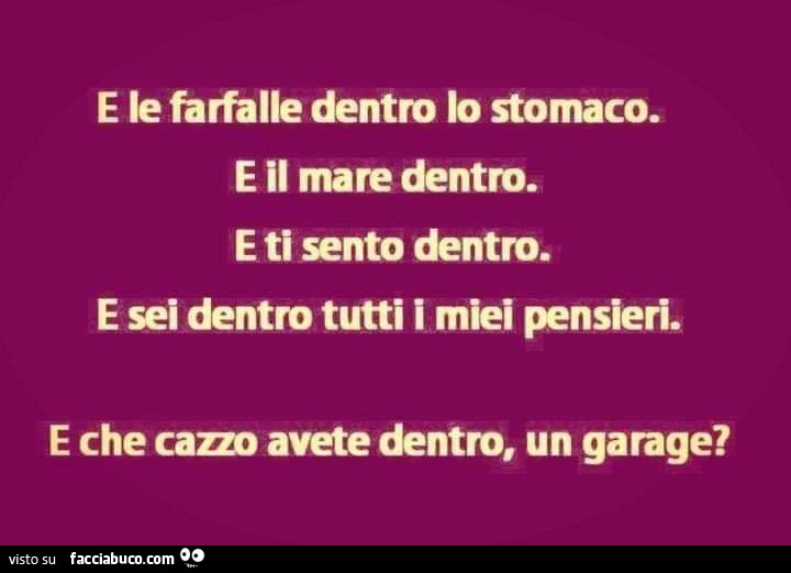 E le farfalle dentro lo stomaco. E il mare dentro. E ti sento dentro. E sei dentro tutti i miei pensieri, e che cazzo avete dentro, un garage?