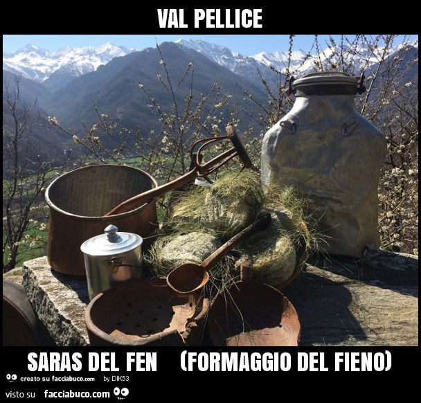 Val pellice saras del fen (formaggio del fieno)