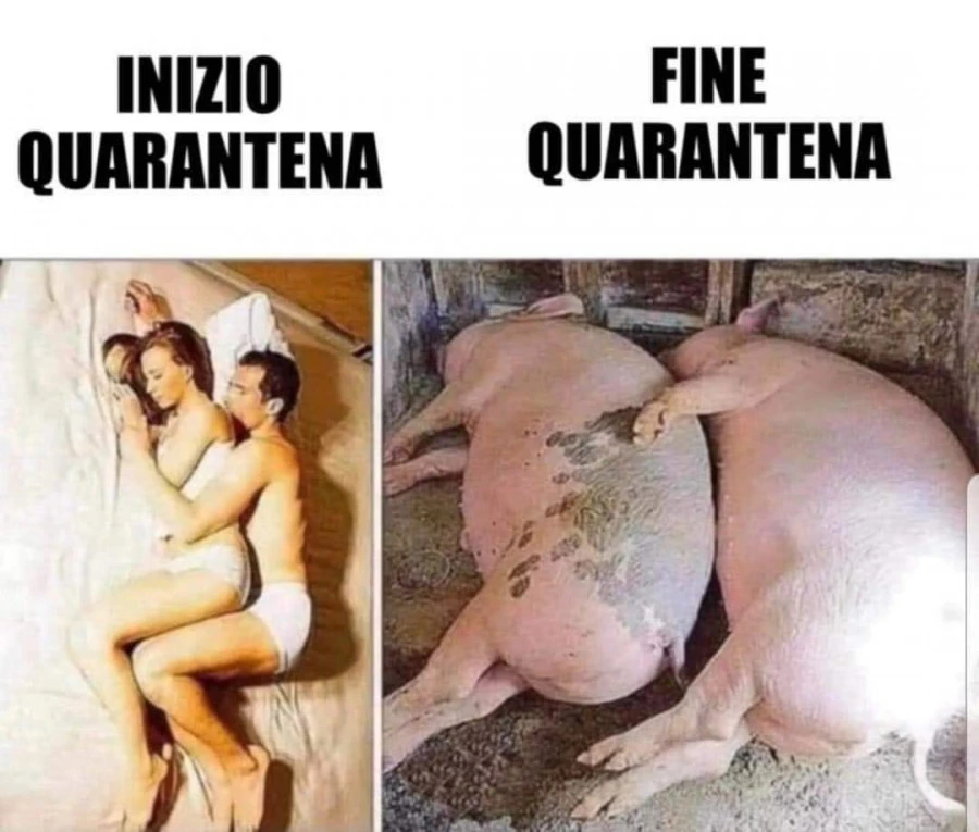 La dieta perfetta