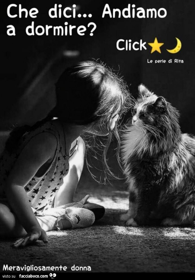 Buonanotte a tutti voi.......?????????????????????????????… - Facciabuco.com