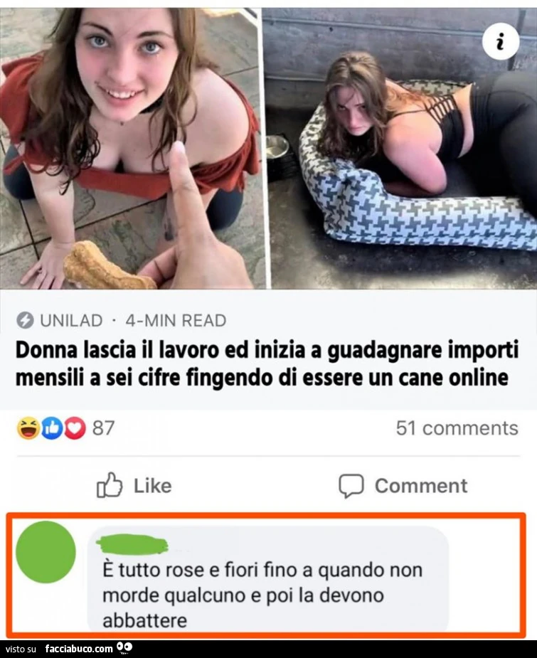Vaccata