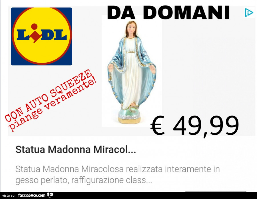 Lidl Da domani Statua Madonna Miracolosa