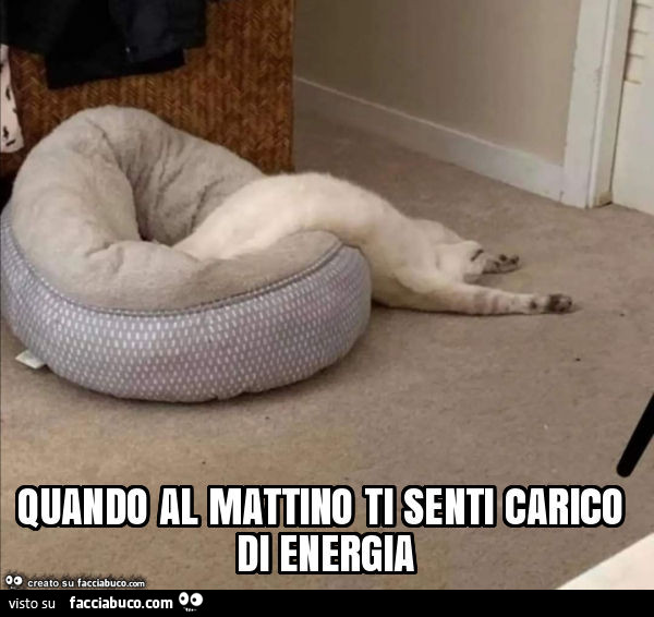 Quando al mattino ti senti carico di energia