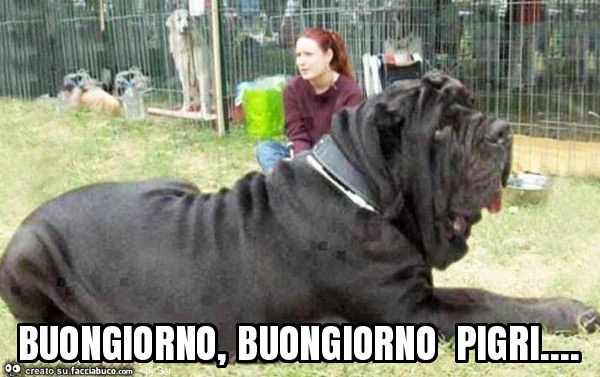 Buongiorno, buongiorno pigri