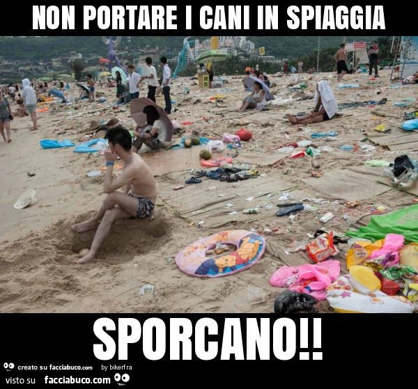 Non portare i cani in spiaggia sporcano
