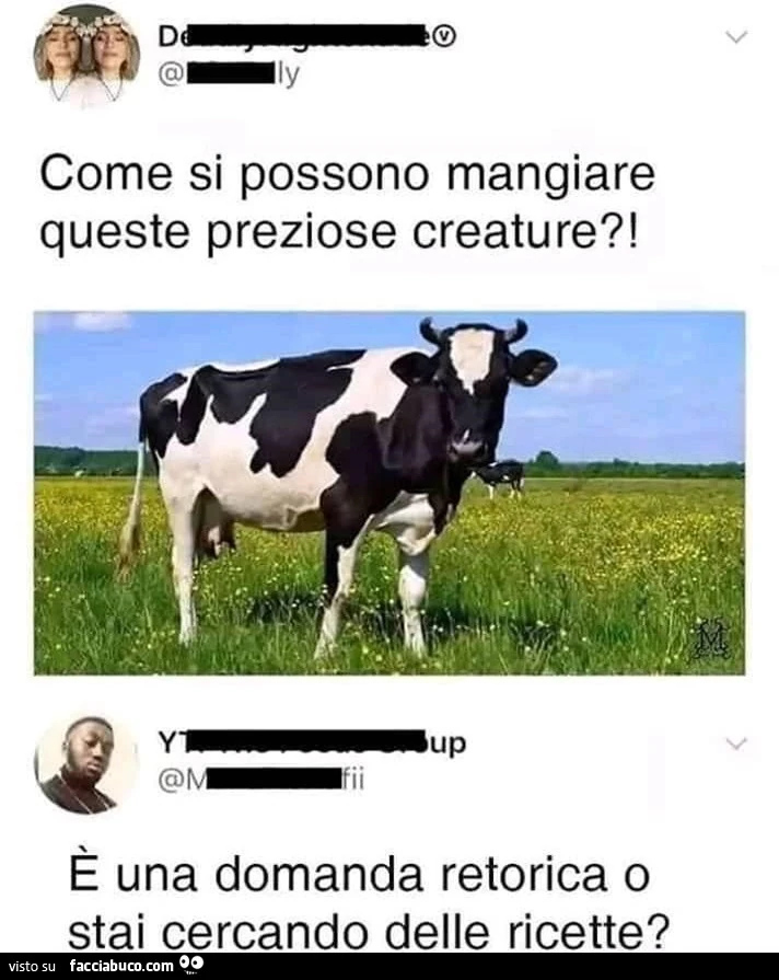 Vaccata