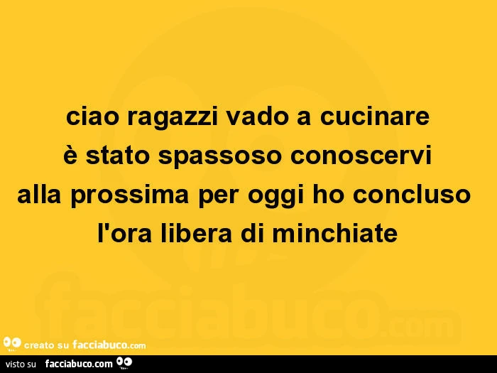 Ciao ragazzi vado a cucinare è stato spassoso conoscervi alla prossima per oggi ho concluso l'ora libera di minchiate