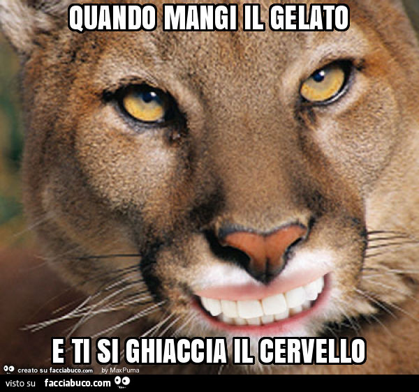 Quando mangi il gelato e ti si ghiaccia il cervello