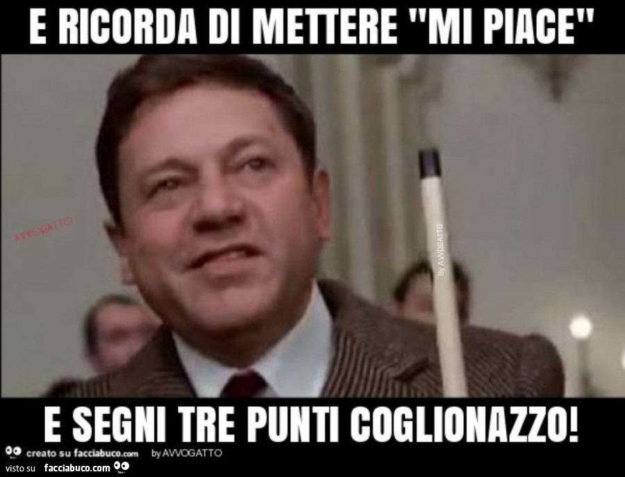 Vaccata
