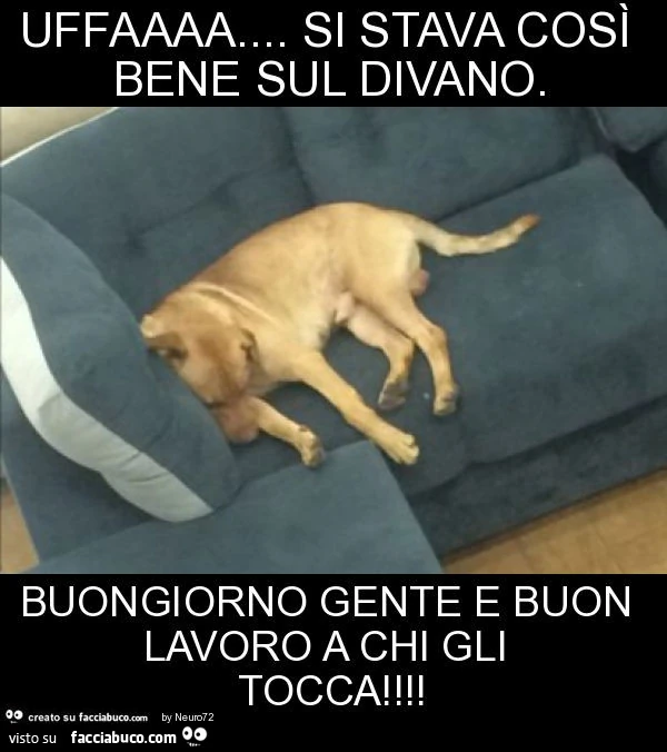 Uffaaaa&hellip; si stava così bene sul divano. Buongiorno gente e buon lavoro a chi gli tocca