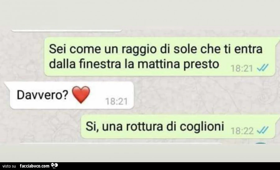 Sei come un raggio di sole che ti entra dalla finestra la mattina presto davvero? Si, una rottura di coglioni