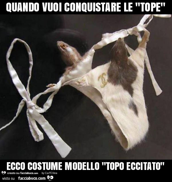 Quando vuoi conquistare le "tope" ecco costume modello "topo eccitato"