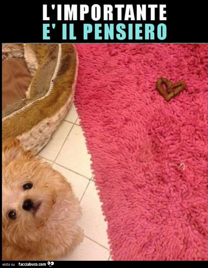 L importante è il pensiero