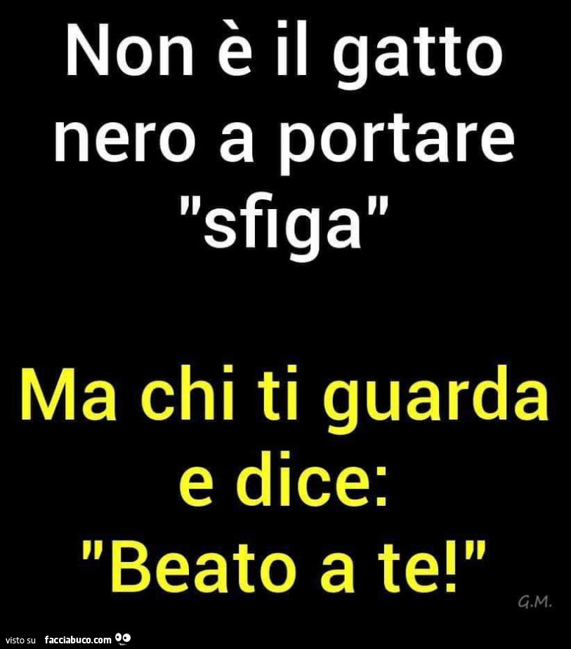 Non è il gatto nero a portare sfiga ma chi ti guarda e dice: beato a te