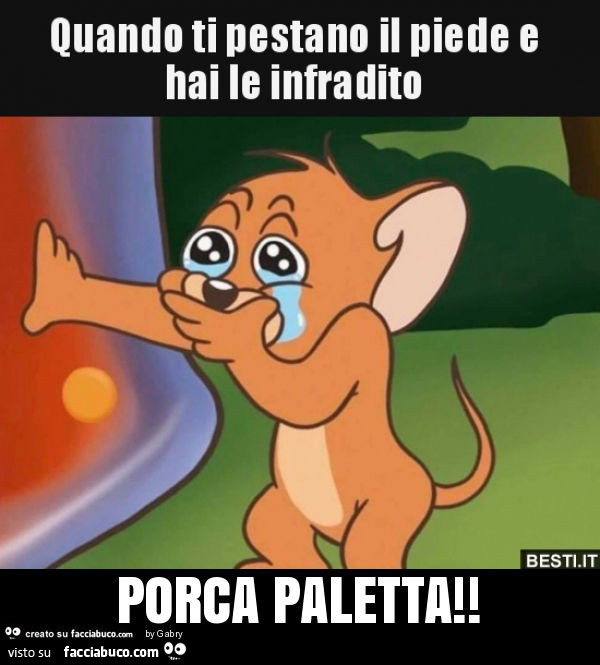 Porca paletta  Ti racconto di