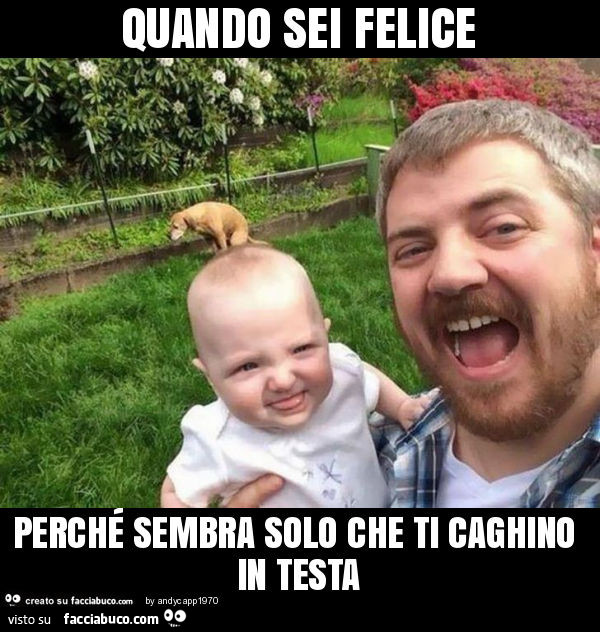 Quando sei felice perché sembra solo che ti caghino in testa
