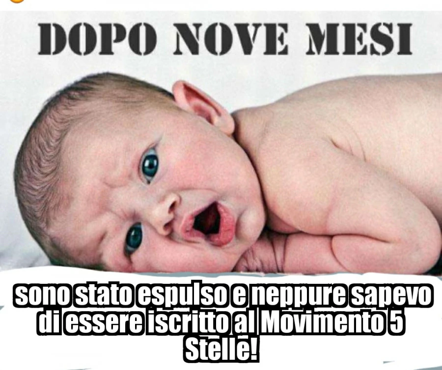 Movimento 5 stelle